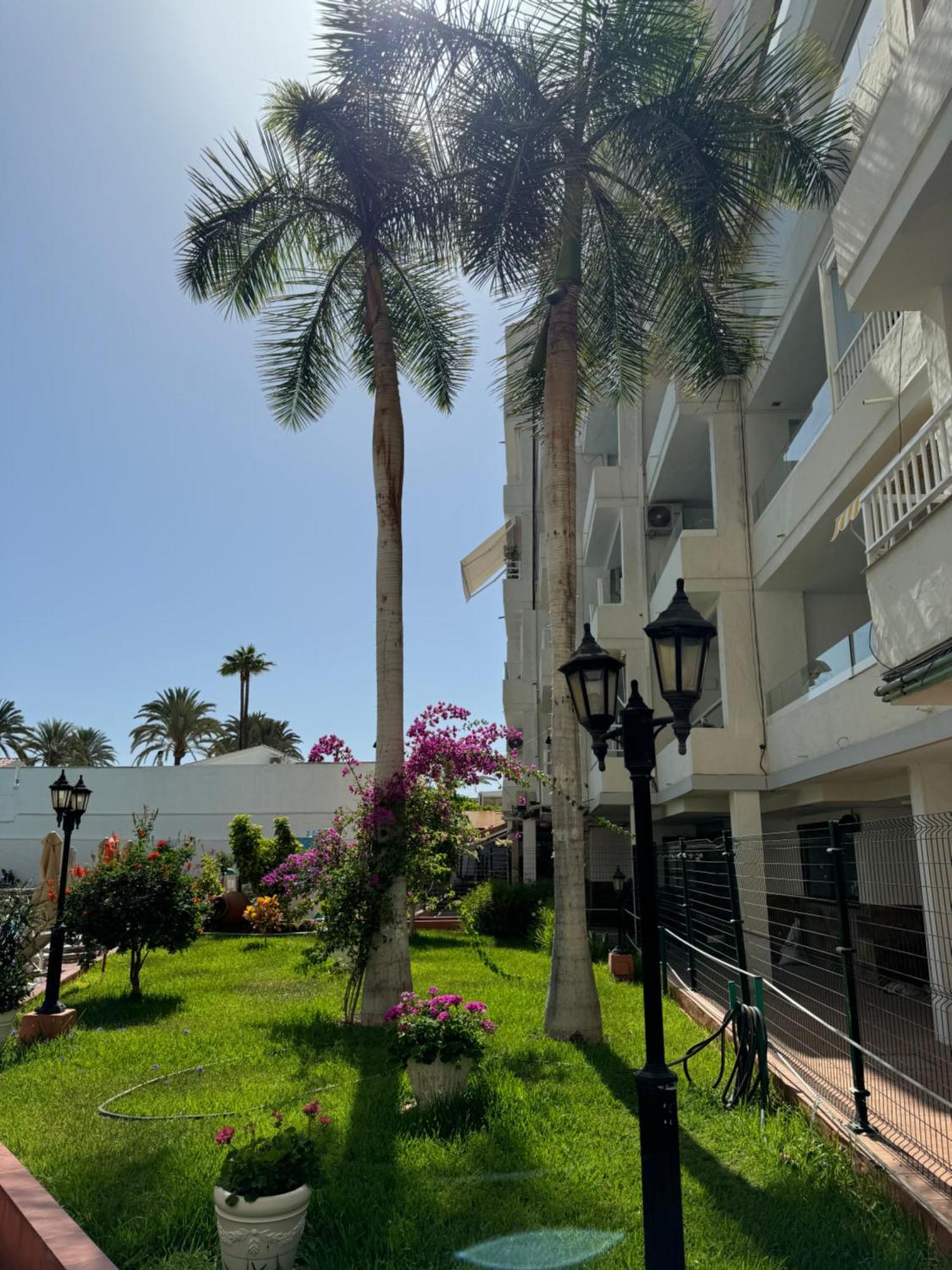 Apartamento Reformado En Apartamentos Tanife, Playa Del Ingles San Bartolomé Exterior foto